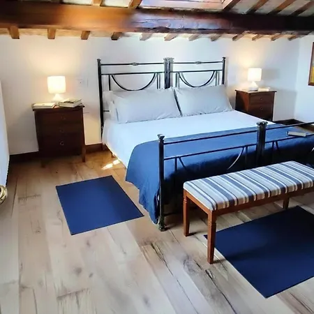 In With Swimming Pool Pesaro